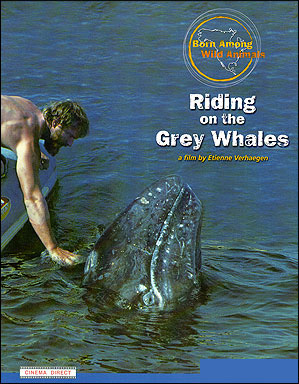 Riding on the Grey Whales