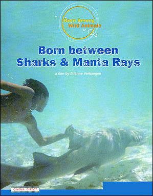 Born between Sharks and Manta Rays